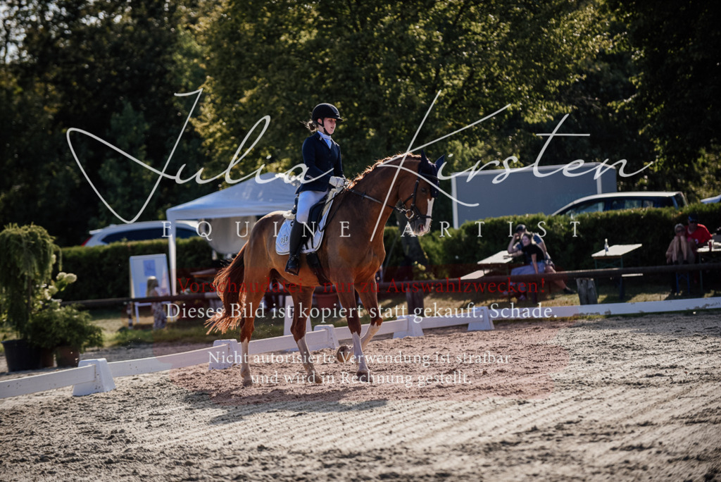 DSC_0535 | Pferde- und Turnierfotografie in Westsachsen. Pferdeportraits, Auftragszeichnungen und intuitive Kunst.