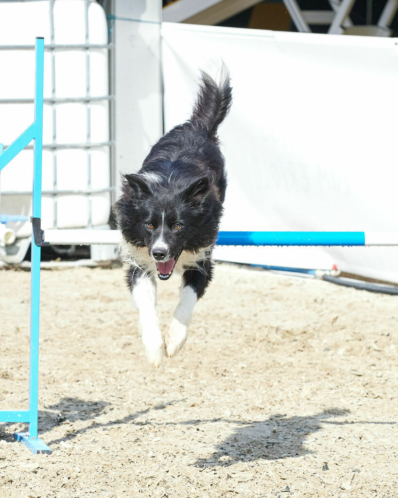 580B0104 | Peter Fridle Fotografie - Realisiert mit Pictrs.com