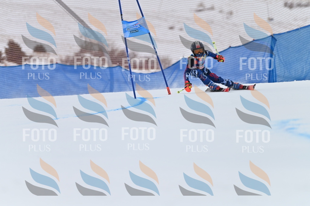 BGV_1475 | holidayphoto