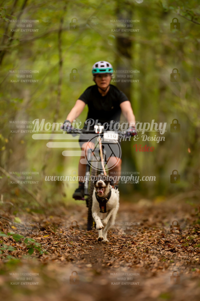 TSB_2023_E1_Bike-57 | PayLife