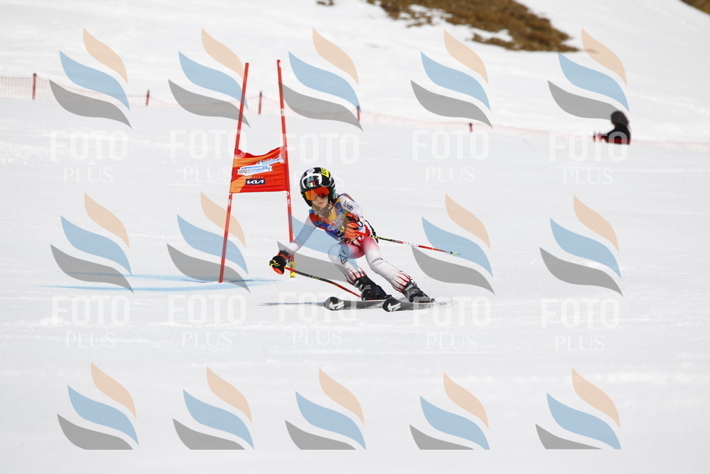 _U3G5462 | holidayphoto