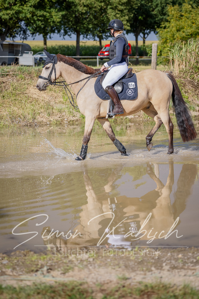 20250905-_3LI1577 | Tierfotografie Pferde, Hunde, Katzen, Haustiere.
Turnierfotografie Reitturniere, Reiten, Springreiten, Dressur in Hanau, dem Main-Kinzig-Kreis und dem Rhein-Main- Gebiet um Frankfurt