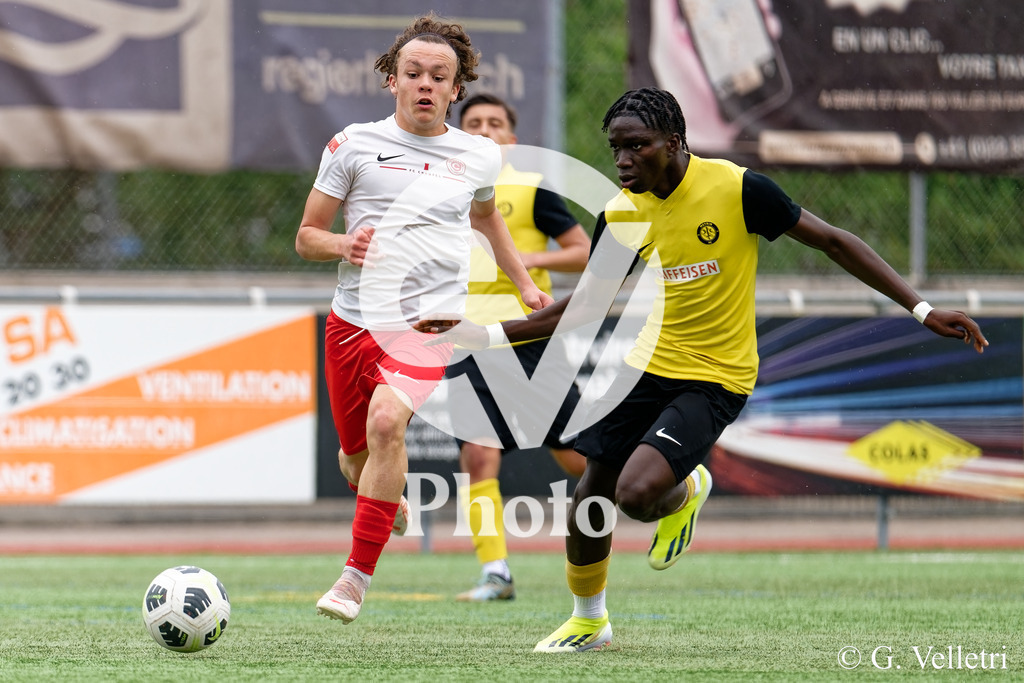 DSC_6657 | Velletri Photo