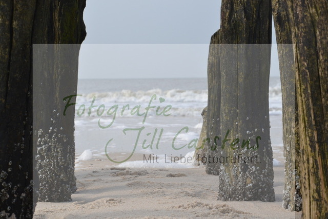 DSC_0178 | fotografie-jill-carstens