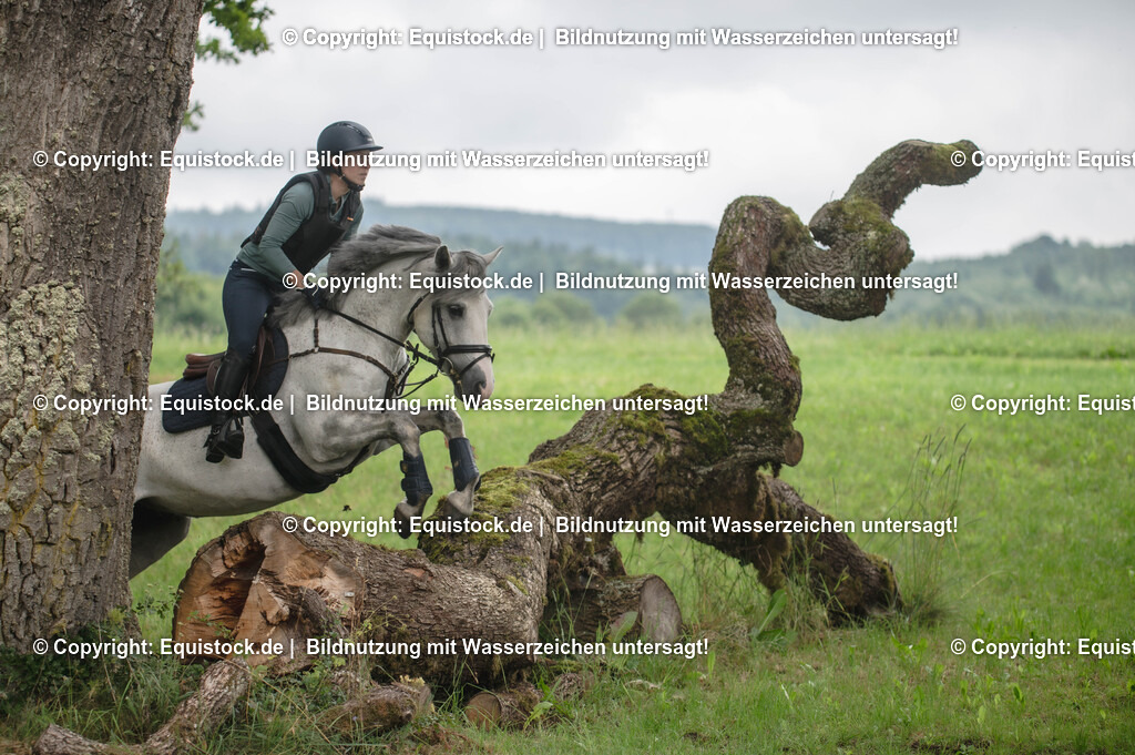 20250726_Vielseitigkeitslehrgang-Marbach_0574 | Foto: Thomas Hartig