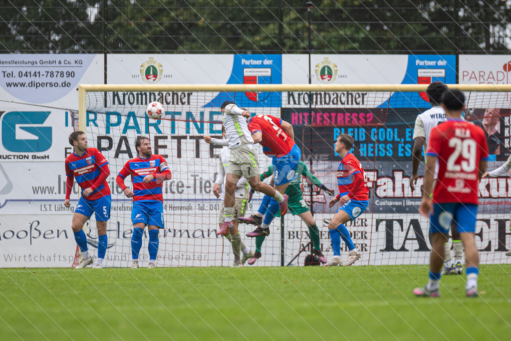 20250921_Picselweb-Fotografie_Meta_1R3_1384 | SV Drochtersen Assel - Werder Bremen II 3:2 - Realisiert mit Pictrs.com