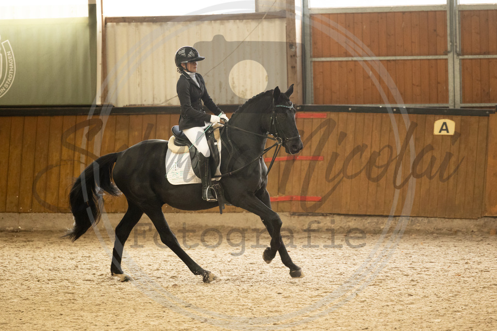 994A4764 | sabrinanicolaifotografie - Realisiert mit Pictrs.com