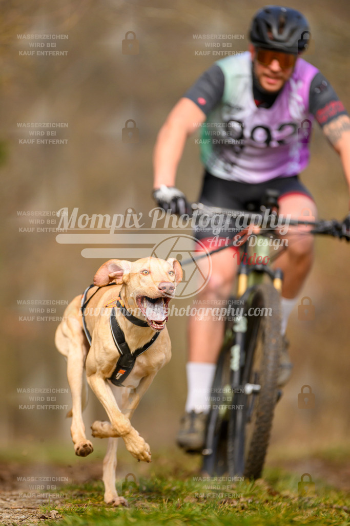 MompixPhotography_Schwabentrail2024_Bike-36 | PayLife
