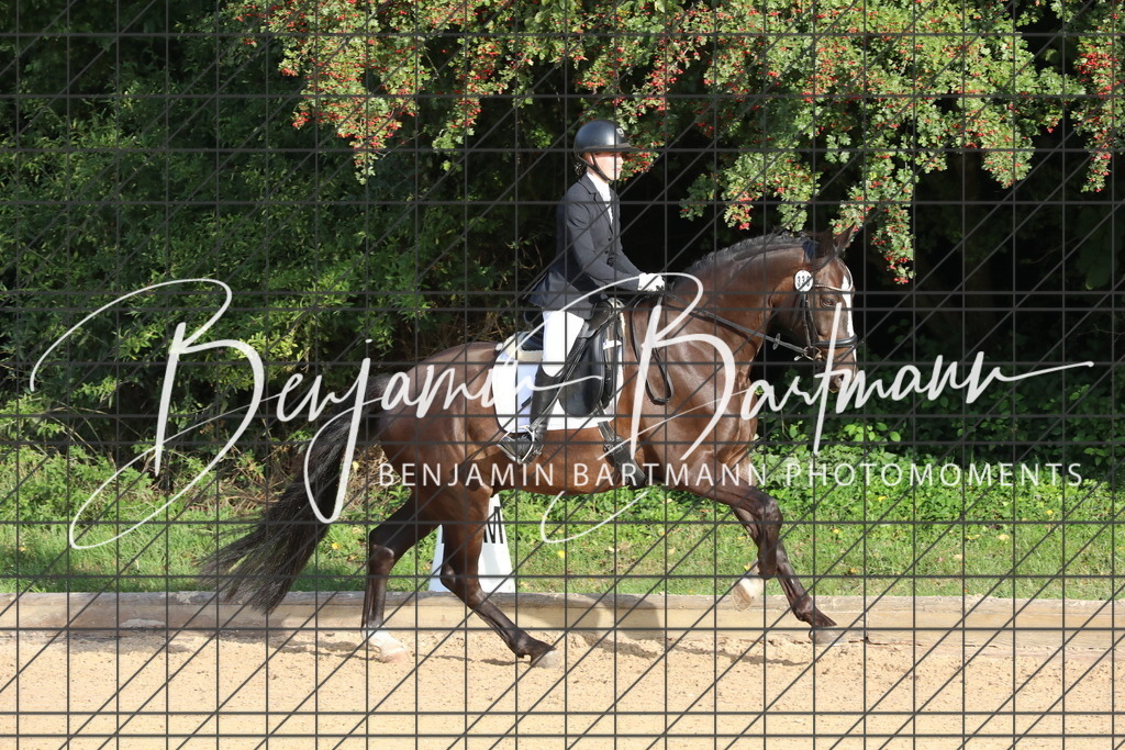 AZ2A1575 | Benjamin Bartmann Photomoments