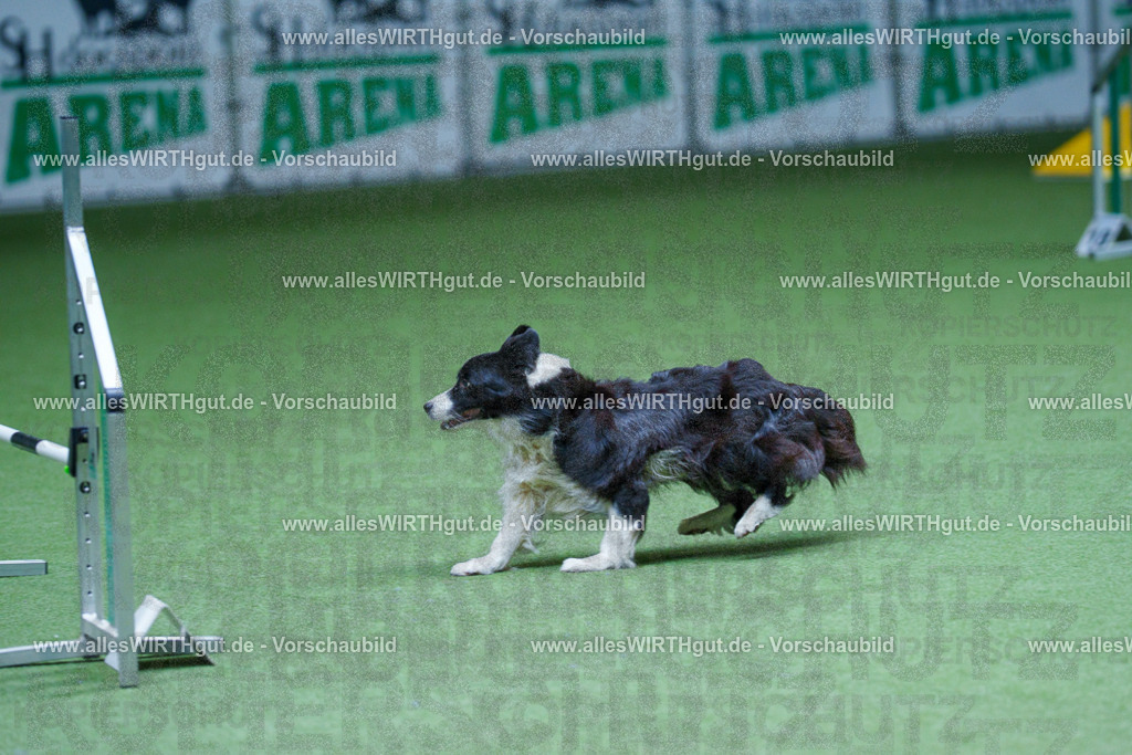@allesWIRTHgut_Tierfotografie - www.allesWIRTHgut.de - 2604251253-7R503006 | Professionelle Tierfotografie in Mönchengladbach von Daniel Wirth (allesWIRTHgut). Liebevolle & natürliche Bilder von Hunden & Katzen für unvergessliche Erinnerungen.