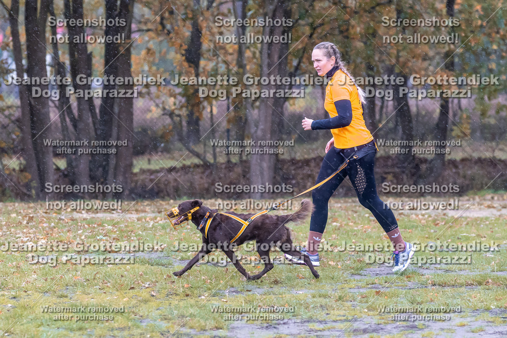 Dog Paparazzi - SD CaniX Championship 2025-711 | Dog Paparazzi Jeanette Grottendiek Fotografie & Videografie - Realisiert mit Pictrs.com