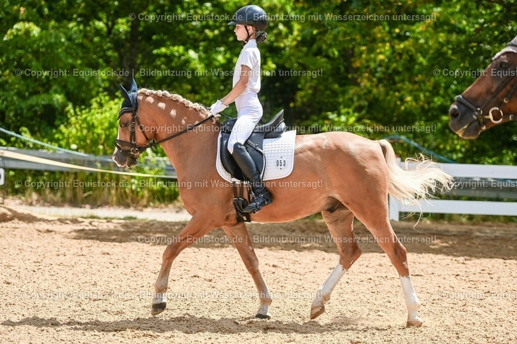 20230715_09_Dressur-WB_0244 | equistock