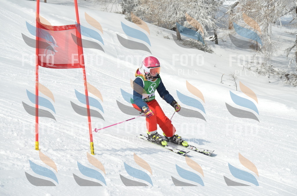 D8754 | holidayphoto