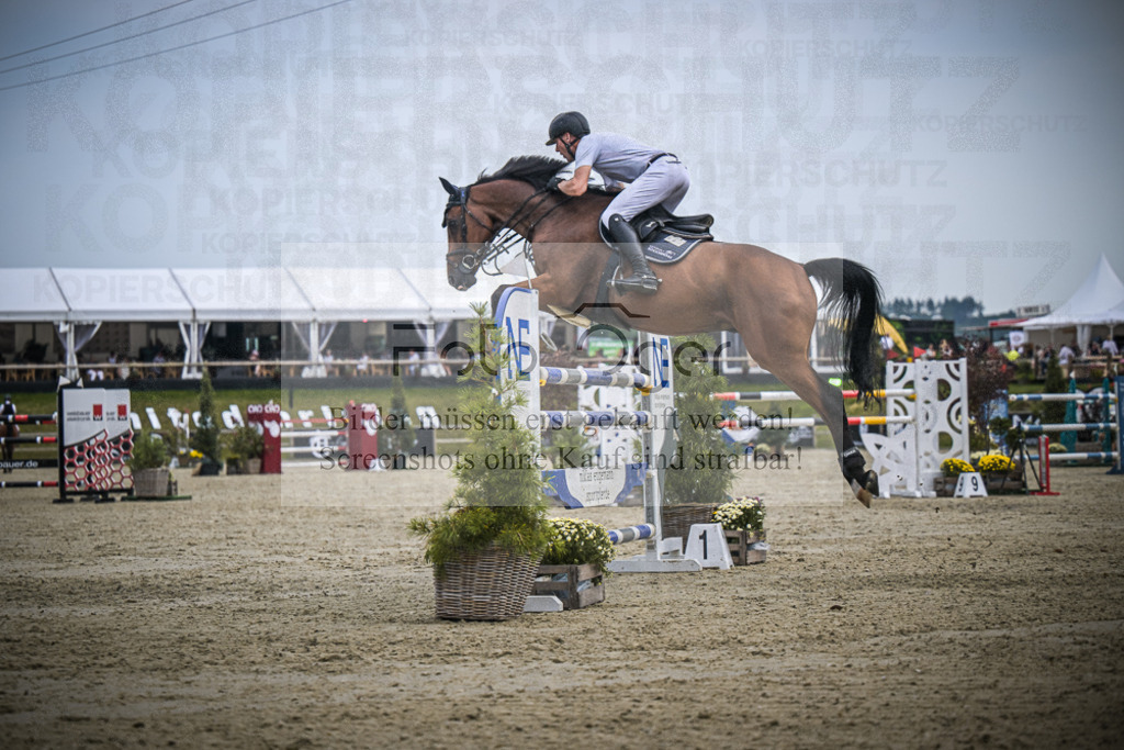 DOS_1364 | Entdecke hochwertige Reitturnierfotos von Foto Oger. Professionell, emotional und authentisch – jetzt Lieblingsmomente im Shop bestellen.Deutschlandweite Turnierfotografie. - Realisiert mit Pictrs.com