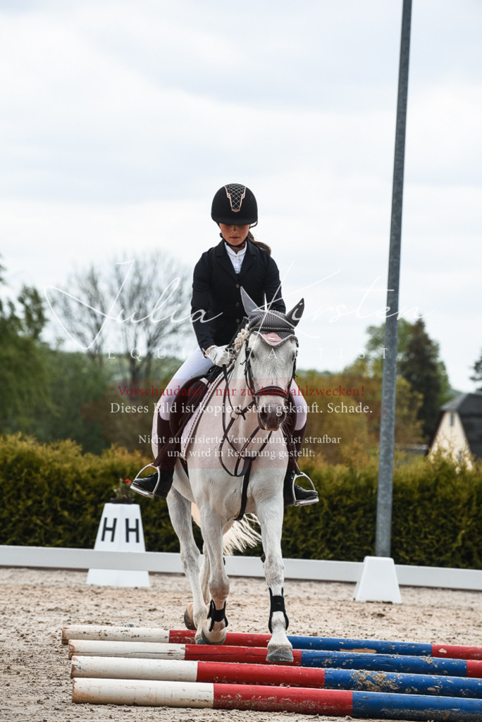 20230518_JK-Röhrsdorf-10-220 | Pferde- und Turnierfotografie in Westsachsen. Pferdeportraits, Auftragszeichnungen und intuitive Kunst.