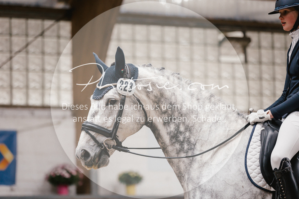3I6A6843 | Stimmungsvolle Portraits und Reitsportfotografie im Ruhrgebiet und im Münsterland.

Pferdefotografie, Hundefotografie, Tierfotografie, Reportagen, Portraits von Tier und Mensch, Turnierfotografie in Bochum, Recklinghausen, Marl, Haltern am See, Dülmen.. - Realisiert mit Pictrs.com