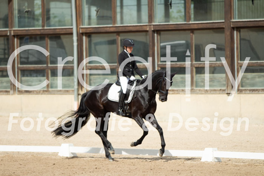 IMG_1421 | Creatify Fotografie