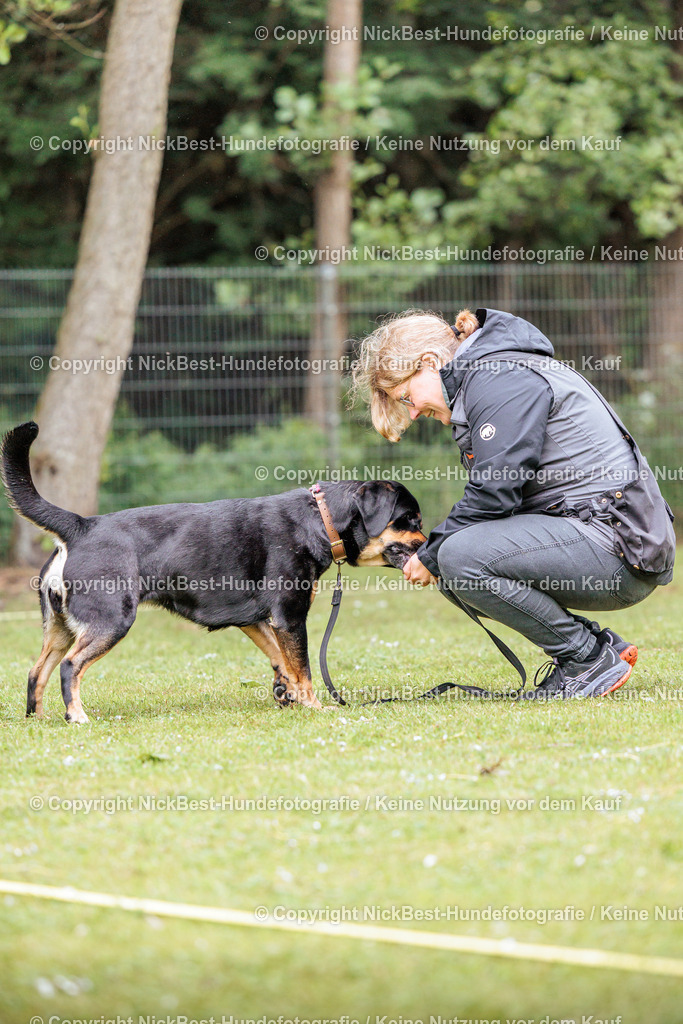 RO-Blumenthal-2026-Nickbest-Hundefotografie-4467 | Dein Hund! Dein Moment! Deine Erinnerungen! Hundefotografie in Bremen Blumenthal. Ich fange die besonderen Momente deines Vierbeiners ein – ob Indoor mit Blitzanlage oder in der freien Natur. Sicher dir dein Moment und dein Termin für eure Erinnerungen.