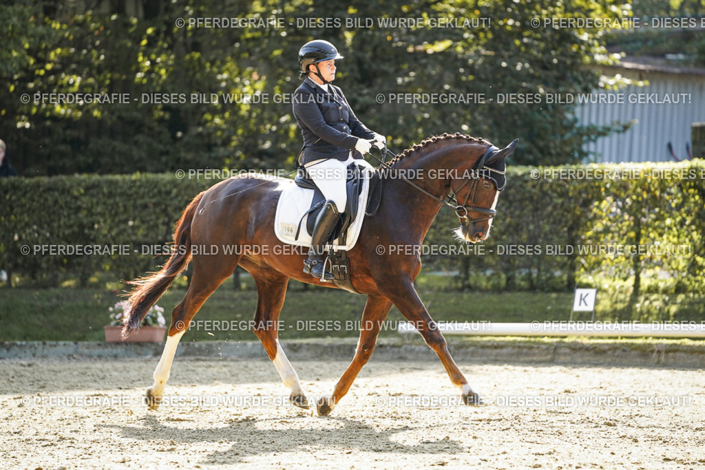 DSC06411 | Pferdegrafie