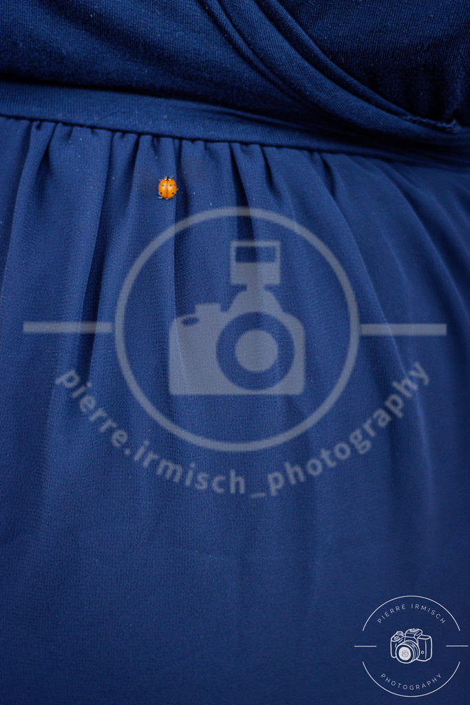 IMG_4153 | pierre-irmisch-photography.de