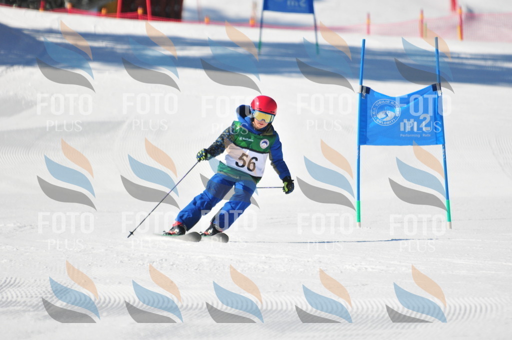 C2893 | holidayphoto