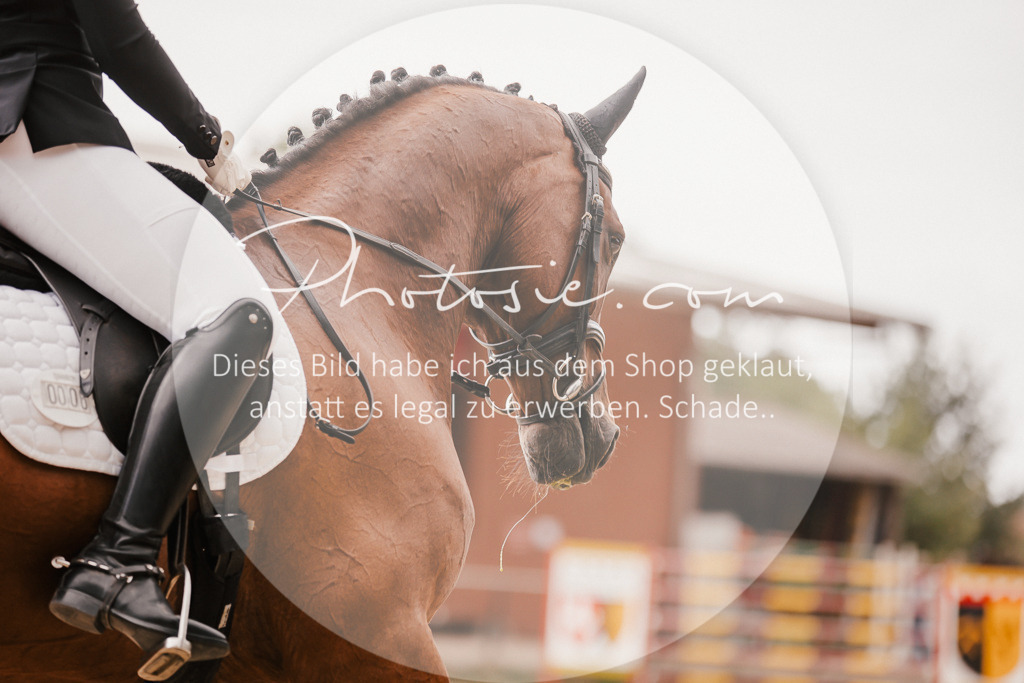 3I6A6331 | Stimmungsvolle Portraits und Reitsportfotografie im Ruhrgebiet und im Münsterland.

Pferdefotografie, Hundefotografie, Tierfotografie, Reportagen, Portraits von Tier und Mensch, Turnierfotografie in Bochum, Recklinghausen, Marl, Haltern am See, Dülmen.. - Realisiert mit Pictrs.com