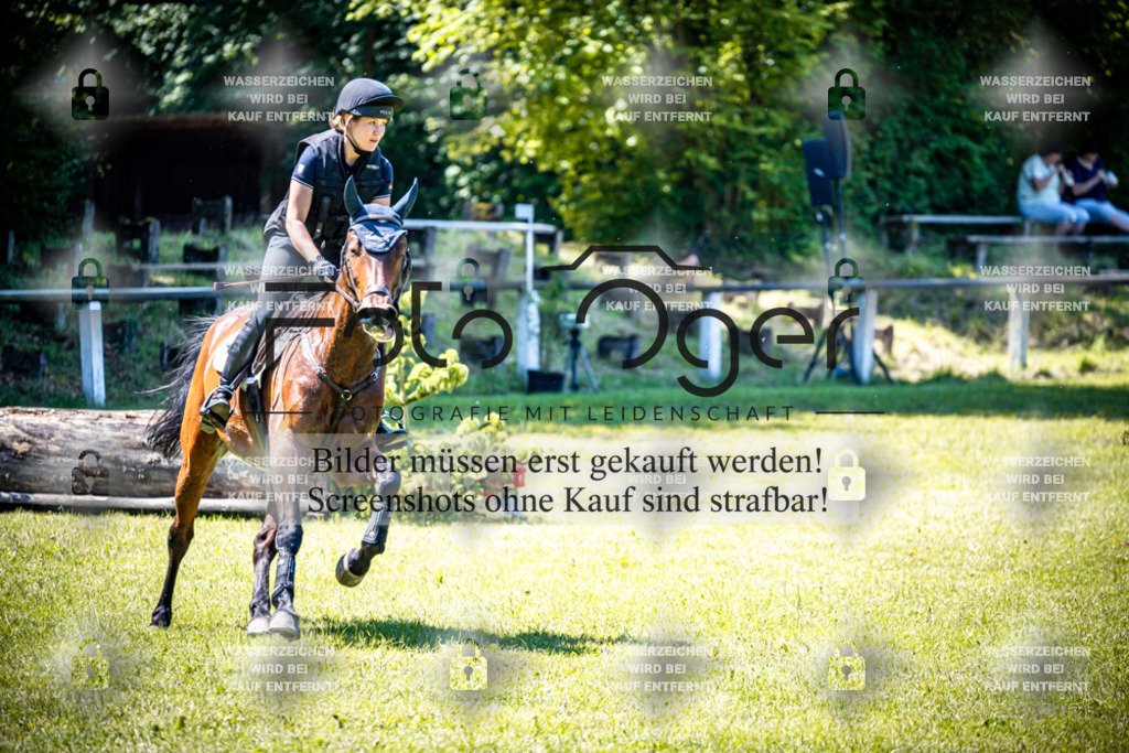 2026-05 - Melle Oldendorf-1-0018 | Entdecke hochwertige Reitturnierfotos von Foto Oger. Professionell, emotional und authentisch – jetzt Lieblingsmomente im Shop bestellen.Deutschlandweite Turnierfotografie. - Realisiert mit Pictrs.com