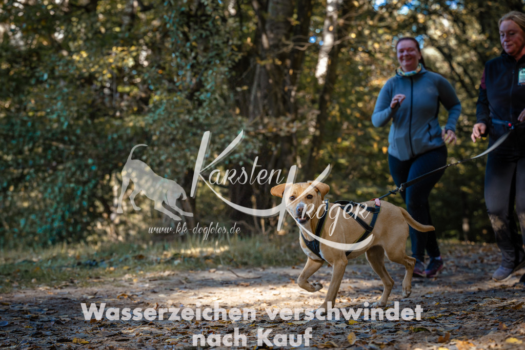 1125_ZZ92393 | kk-dogfotos