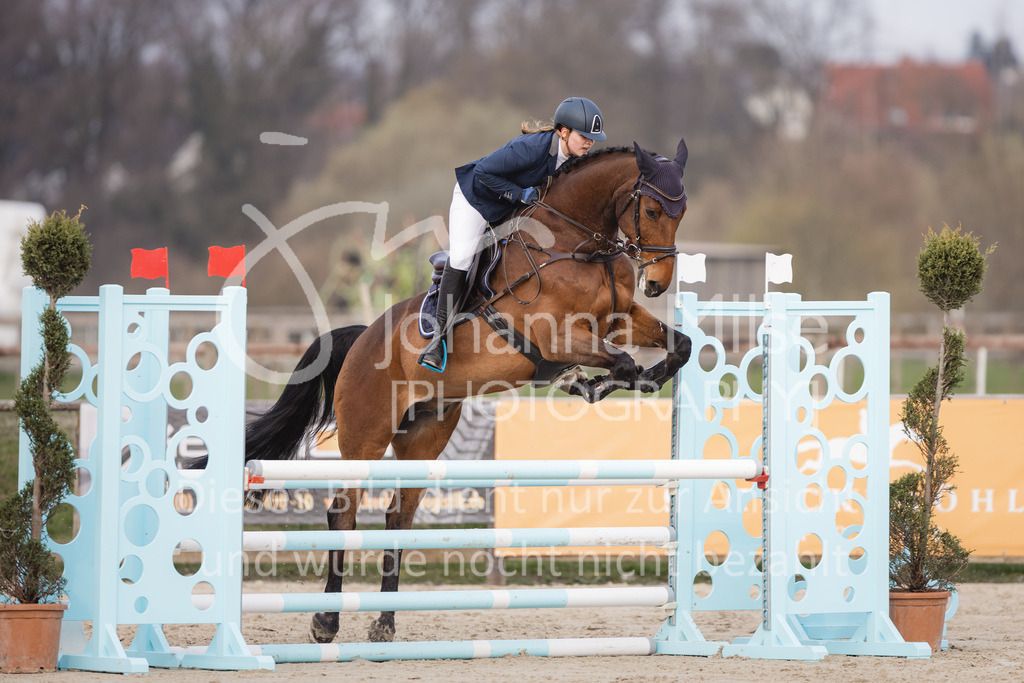 230406_Frühlingsfest_A-Stil1-105 | Deine schönsten Turniermomente als professionelle Fotos! Entdecke hochwertige Pferdesport-Fotografie im Online-Shop. Jetzt Fotos finden & bestellen!