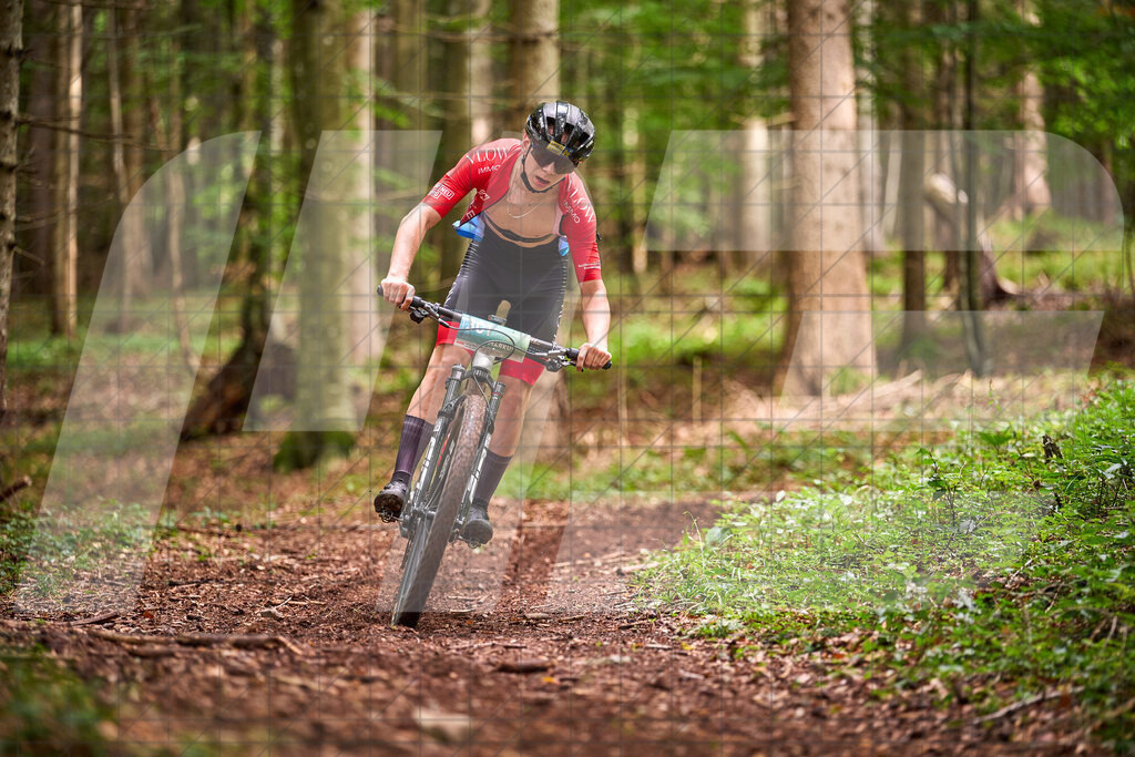 Betriebszentrum Laubenbachmühle, Frankenfels, Österreich - 13. September 2025: Dirndltal Race - Fun und Trophy RaceFotograf: Martin Bihounek / martinbihounek.com | 13. September 2025 Betriebszentrum Laubenbachmühle, Frankenfels, Österreich : Dirndltal Race - Fun und Trophy Race •••••Photo by: Martin Bihounek / martinbihounek.comInsta: @martinbihounekcom