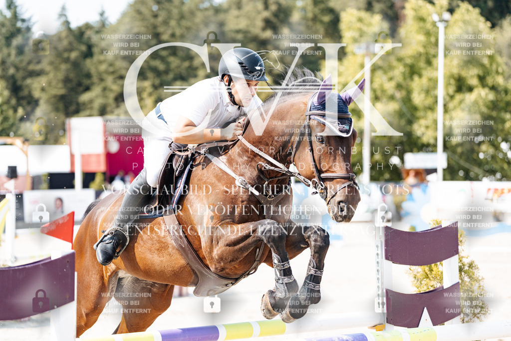 CK902170 | Turnierfotografie Pferdefotografie Trier Rheinland-Pfalz Pferdesport Reitsport Tierfotografie Sportfotografie Pferdevideo Pferdevideografie Equestrianvideography equestrianphotography  - Realisiert mit Pictrs.com