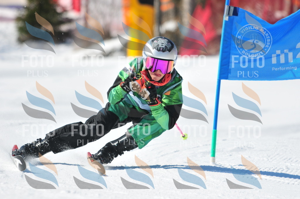 C3601 | holidayphoto