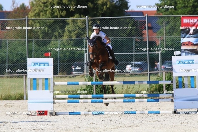 OHT 2022 Röhlingen (90) | Fotografie, Tiere, Hunde, Katzen, Pferde, Sportfotografie, Fotosession, Tierfotografie, Turnierfotografie, Fotografin, Fotograf - Realisiert mit Pictrs.com