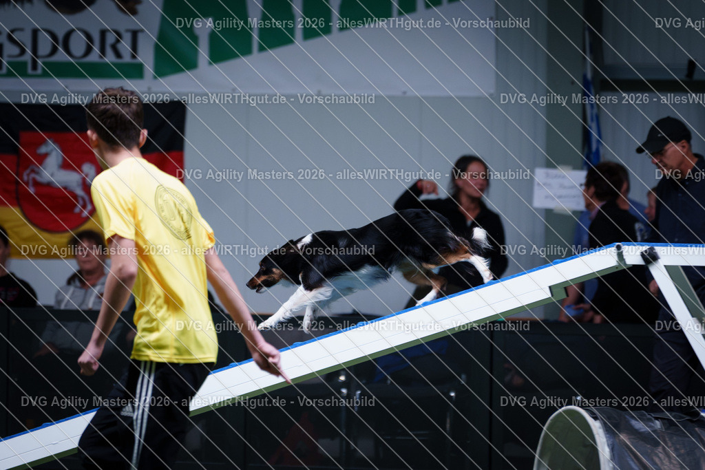allesWIRTHgut_Tierfotografie-DVG_Agility_Masters_2026-12_32-7R502535 | Professionelle Tierfotografie in Mönchengladbach von Daniel Wirth (allesWIRTHgut). Liebevolle & natürliche Bilder von Hunden & Katzen für unvergessliche Erinnerungen.