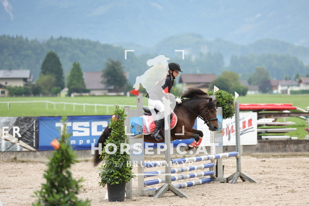 0P6A9824 | Willkommen bei Brunnmayr - Design & Fotografie – Ihrem Spezialisten für Reitturniere und Pferdeveranstaltungen in Oberösterreich, Salzburg und Bayern! Seit über 17 Jahren sind wir leidenschaftlich dabei.