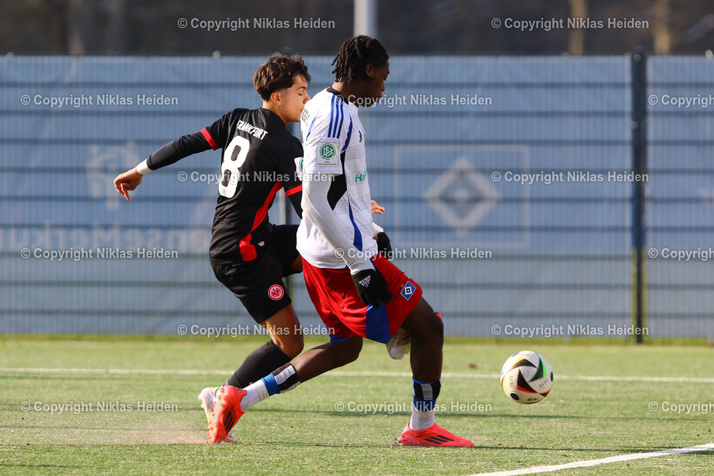 H_HamburgerSVU19_EintrachtFrankfurtU19_U19DFBNachwuchsliga_15022025 | #5 Shafiq Bello Nandja (Hamburger SV U19), #8 Marvin Dills (Eintracht Frankfurt U19)Fußball I Junioren I U19 DFB-Nachwuchsliga I Saison 2024-2025 I Hauptrunde Liga A, Gruppe C, 3. Spieltag I Hamburger SV U19 - Eintracht Frankfurt U19 I 15.02.2025 I Alexander-Otto-Akademie