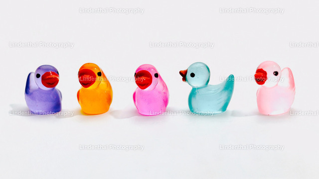 Alle meine bunten Entchen | Mini Enten ganz Groß - Realisiert mit Pictrs.com