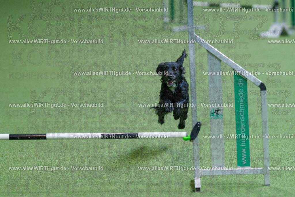 @allesWIRTHgut_Tierfotografie - www.allesWIRTHgut.de - 2604260825-7R506868 | Professionelle Tierfotografie in Mönchengladbach von Daniel Wirth (allesWIRTHgut). Liebevolle & natürliche Bilder von Hunden & Katzen für unvergessliche Erinnerungen.