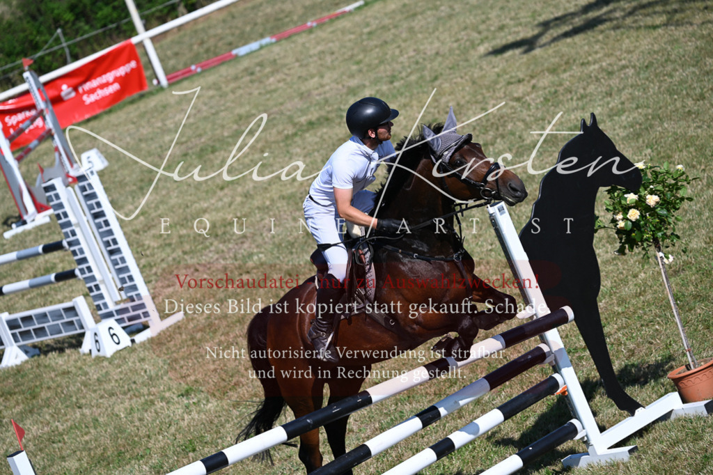 DSC_1944 | Pferde- und Turnierfotografie in Westsachsen. Pferdeportraits, Auftragszeichnungen und intuitive Kunst.