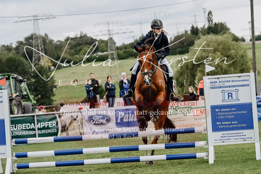 DSC_6793 | Pferde- und Turnierfotografie in Westsachsen. Pferdeportraits, Auftragszeichnungen und intuitive Kunst.
