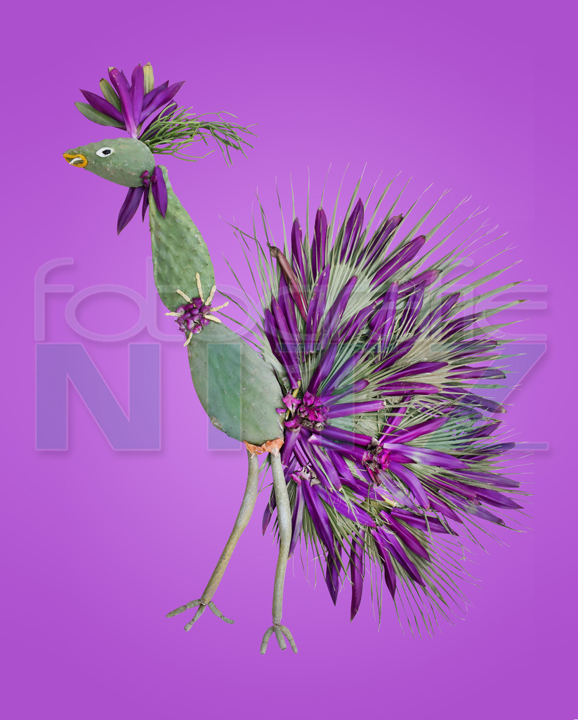 59 | Nitz Fotografie aus Montabaur bietet Ihnen hier die Möglichkeit Bilder auszusuchen und zu bestellen. 