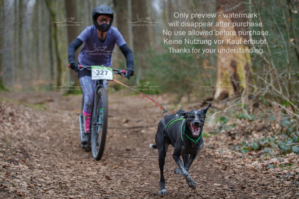 Scooter_So-101 | stephaniefillaphotographie - Realisiert mit Pictrs.com