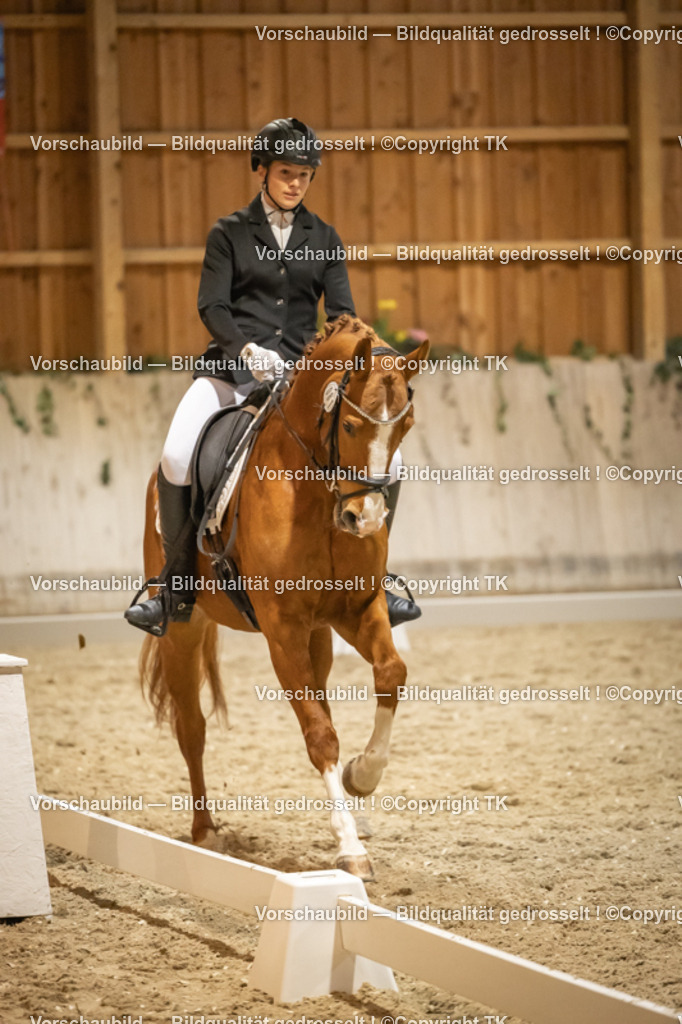 _D5A0855 | Emotionale Pferde- & People-Fotografie rund um Heidelberg, Leimen & Umgebung. Natürliche Fotos von Pferd, Mensch & Familie. Jetzt Termin sichern!