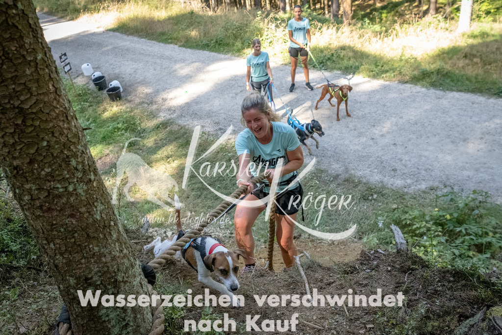 1205_ZZ93375 | kk-dogfotos