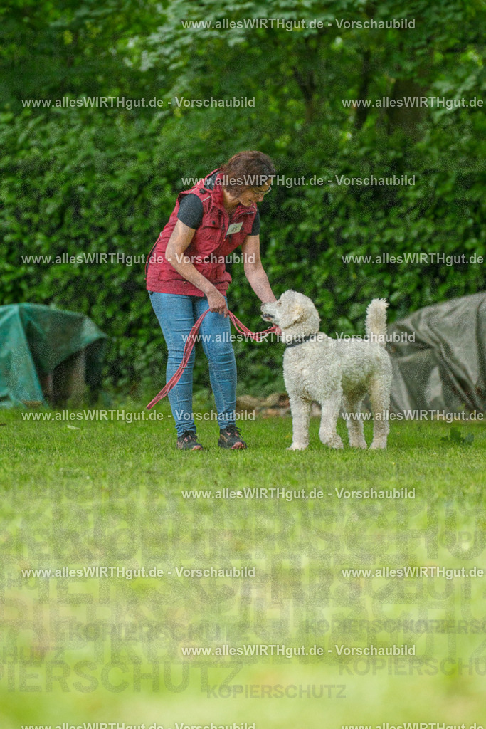 @allesWIRTHgut_Tierfotografie - www.allesWIRTHgut.de - 7R505173 | Professionelle Tierfotografie in Mönchengladbach von Daniel Wirth (allesWIRTHgut). Liebevolle & natürliche Bilder von Hunden & Katzen für unvergessliche Erinnerungen.