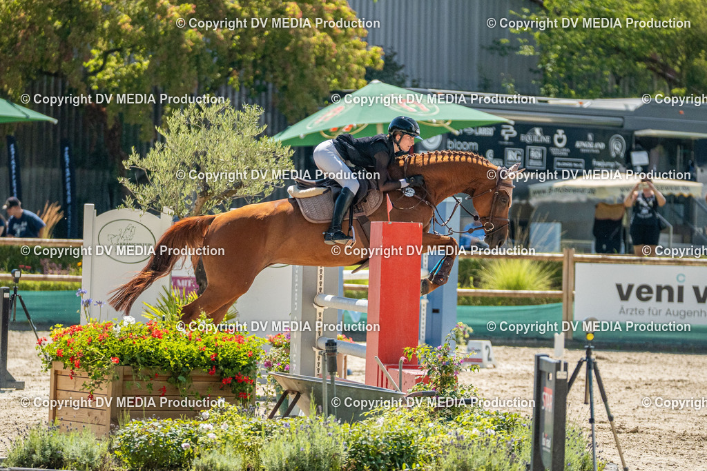 Hessische Tag 3-079 | dv-media-shop - Realisiert mit Pictrs.com