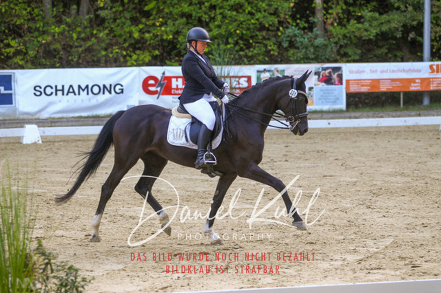 DKP41475 | Turniersportfotografie; Pferdefotografie; Dressurfotografie