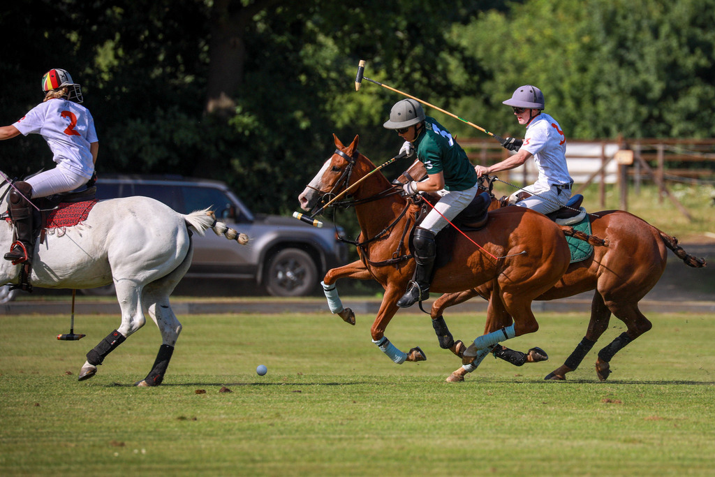 2_TigerFrontierVsGRAT_200525_050 | Bildergalerie von Sport-Ereignissen aber auch von weiteren spannenden Dingen - nicht nur vom Niederrhein. In Anlehnung an den bekannten Spruch von Hanns Dieter Hüsch heißt das Motto: "Niederrhein ist überall".  - Realisiert mit Pictrs.com