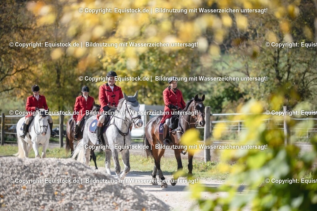 20251011_Jagd-Marbach_0078 | Foto: Thomas Hartig