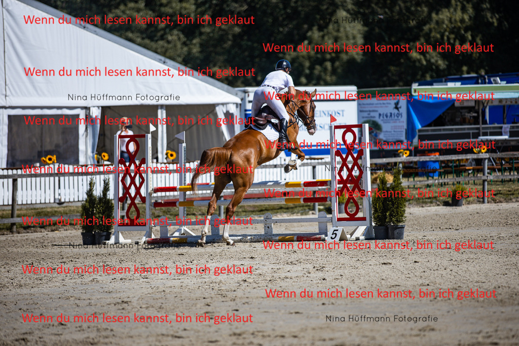 BK1A5445 | Turnierbilder Turnierfotos Nina Hüffmann Turnierfotografie Pferdefotografie Tierzeichnung Haustierzeichnung Pferdezeichnung Hundezeichnung Videograf  - Realisiert mit Pictrs.com